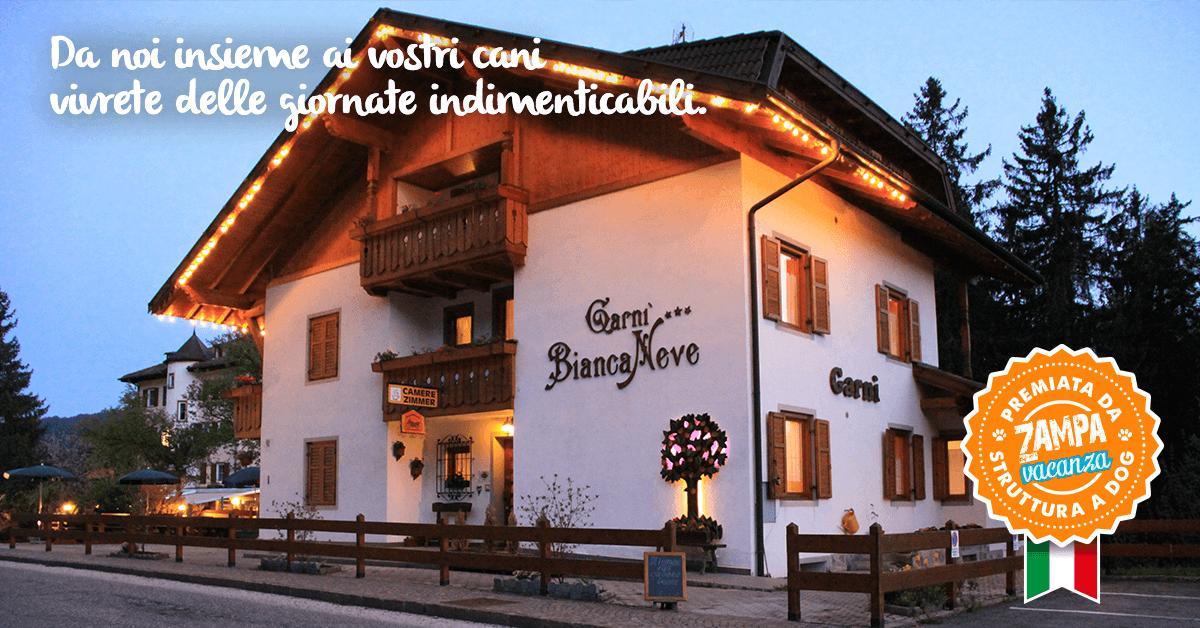 Garni Biancaneve Ruffre-Mendola Exteriör bild